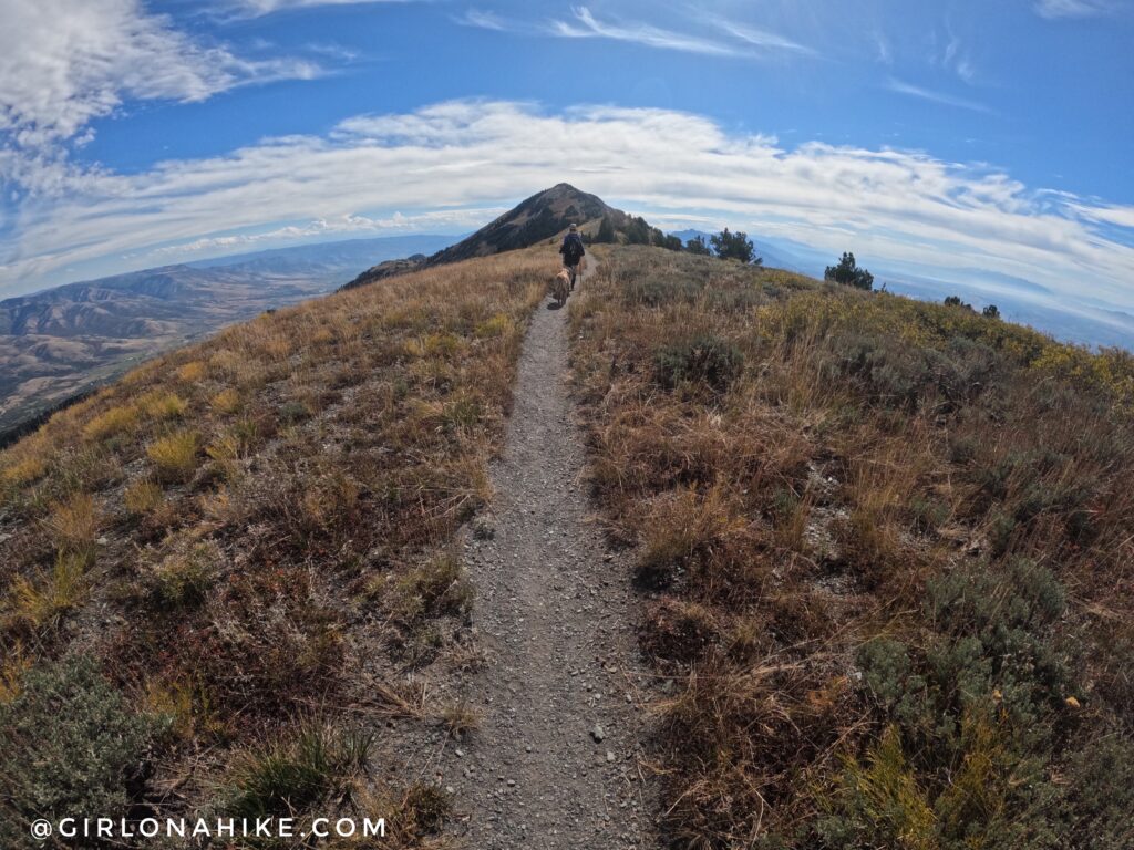 Hiking to Willard Peak & Ben Lomond Peak via Willard Basin