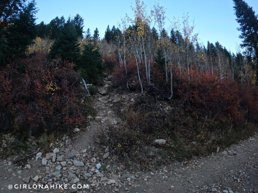 Hiking Kessler Peak, Big Cottonwood Canyon