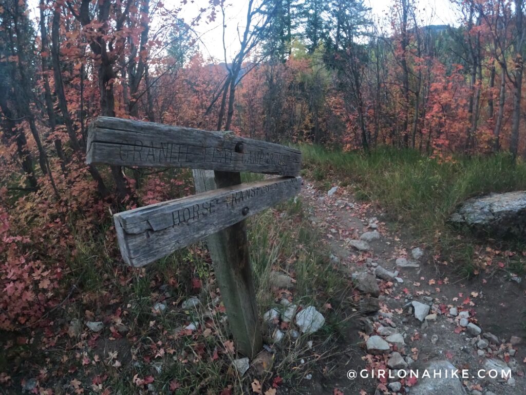 Hiking to Box Elder Peak, American Fork Canyon