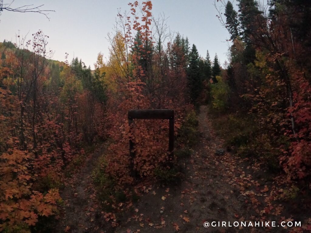 Hiking to Box Elder Peak, American Fork Canyon