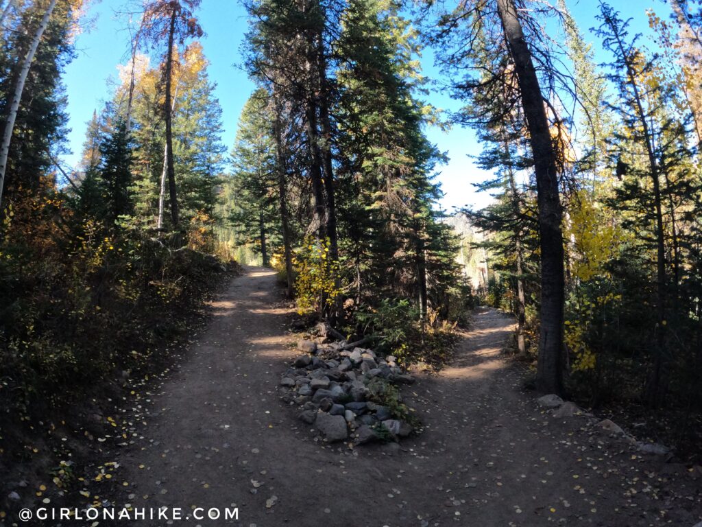 Hiking Kessler Peak, Big Cottonwood Canyon