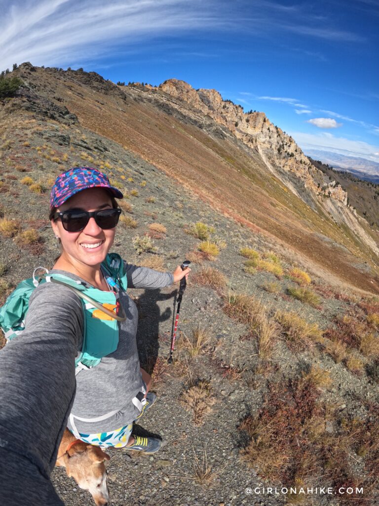 Hiking to Willard Peak & Ben Lomond Peak via Willard Basin