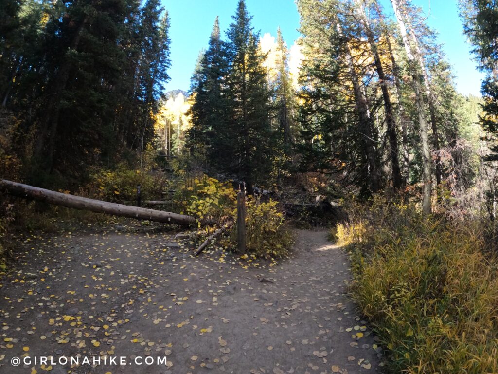 Hiking Kessler Peak, Big Cottonwood Canyon