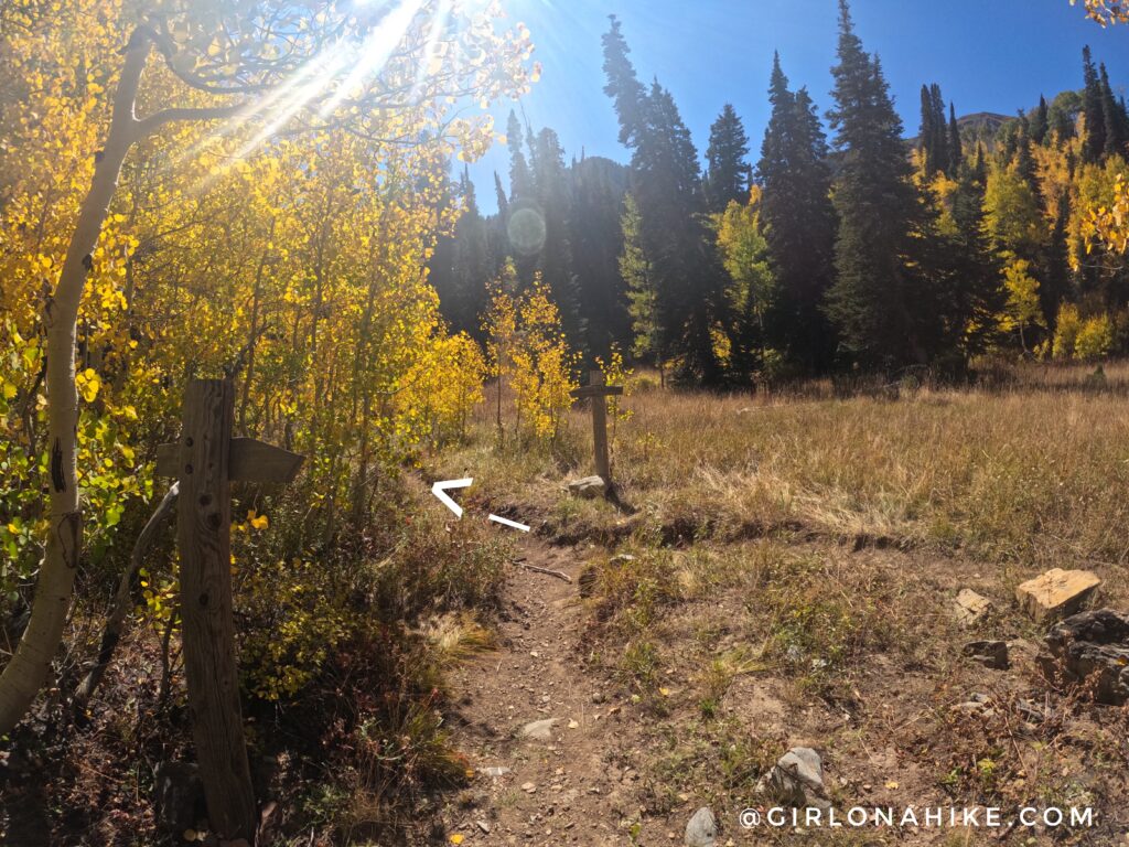 Hiking to Box Elder Peak, American Fork Canyon