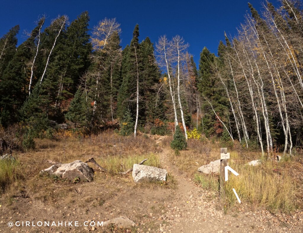 Hiking Kessler Peak, Big Cottonwood Canyon