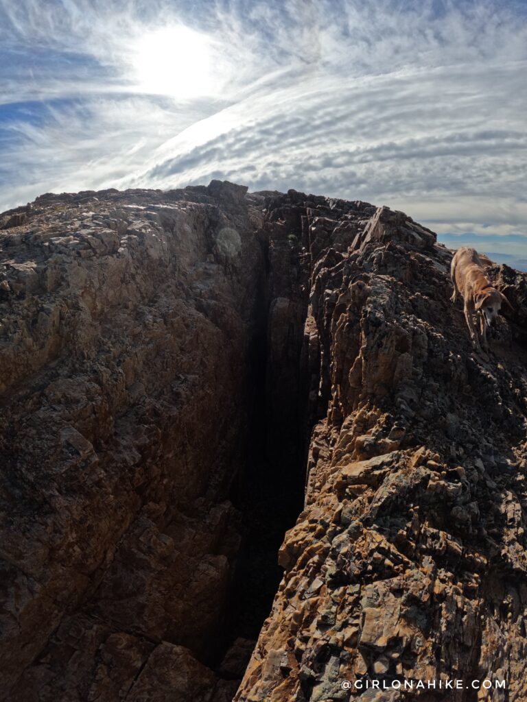 Hiking to Willard Peak & Ben Lomond Peak via Willard Basin