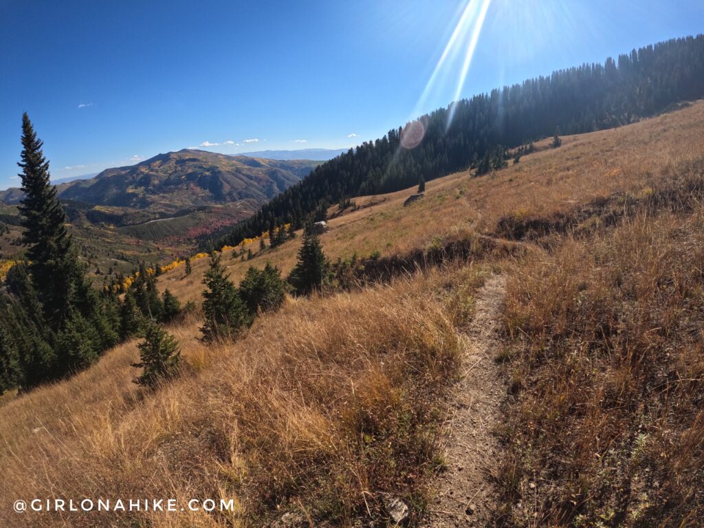 Hiking to Box Elder Peak, American Fork Canyon