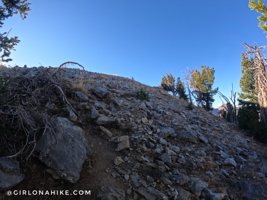 Hiking Kessler Peak, Big Cottonwood Canyon