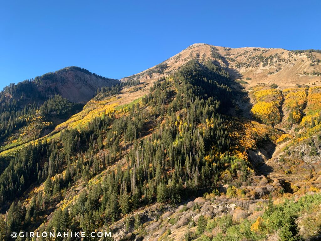 Hiking to Box Elder Peak, American Fork Canyon