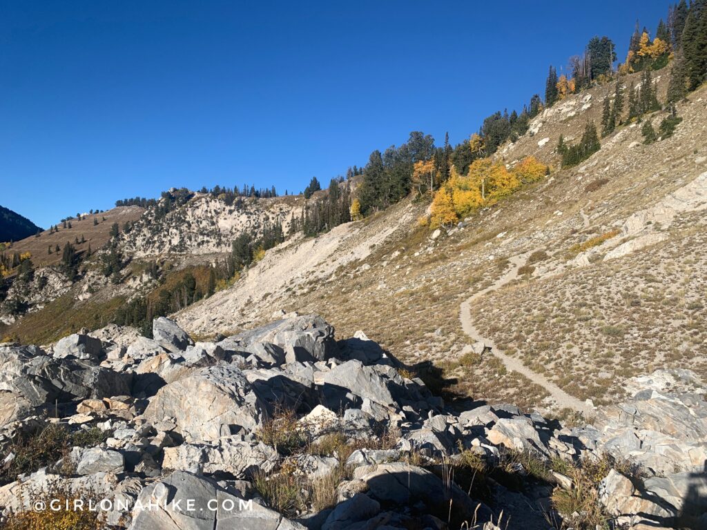 Hiking to Box Elder Peak, American Fork Canyon