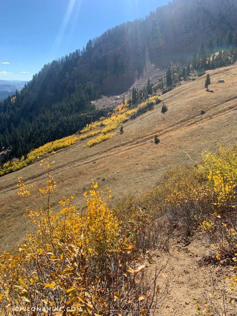 Hiking to Box Elder Peak, American Fork Canyon