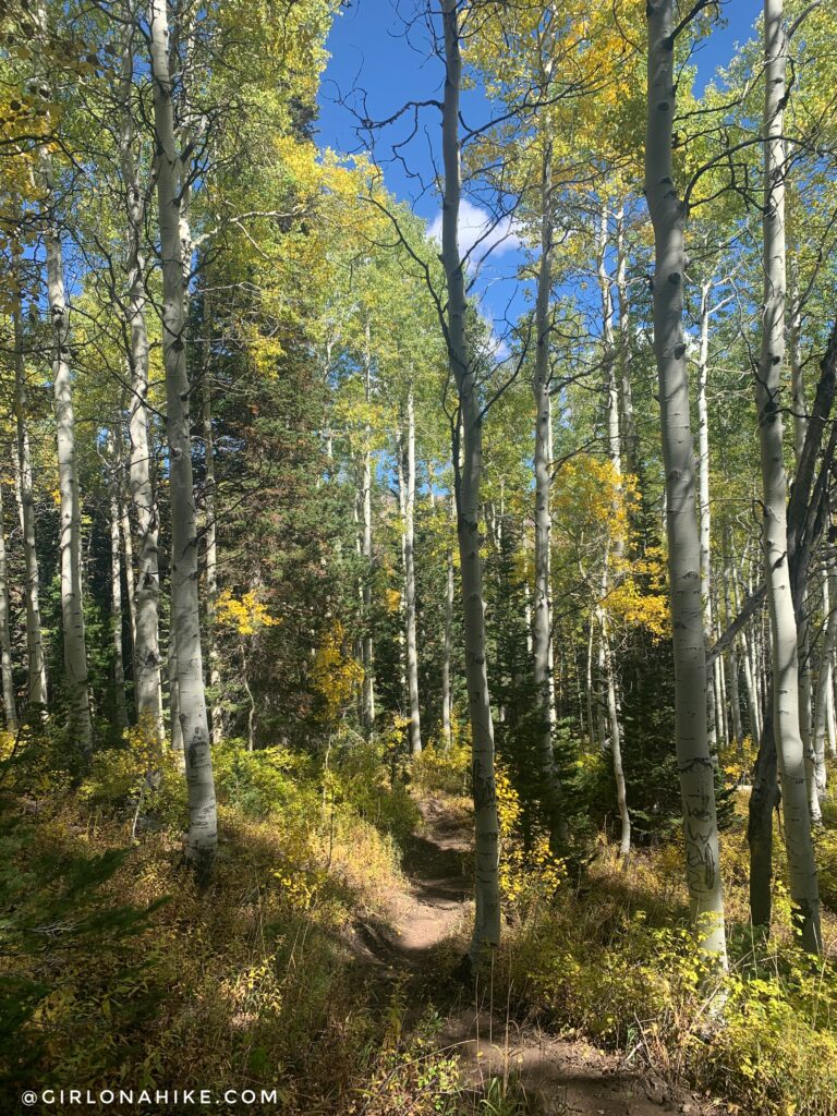 Hiking to Box Elder Peak, American Fork Canyon