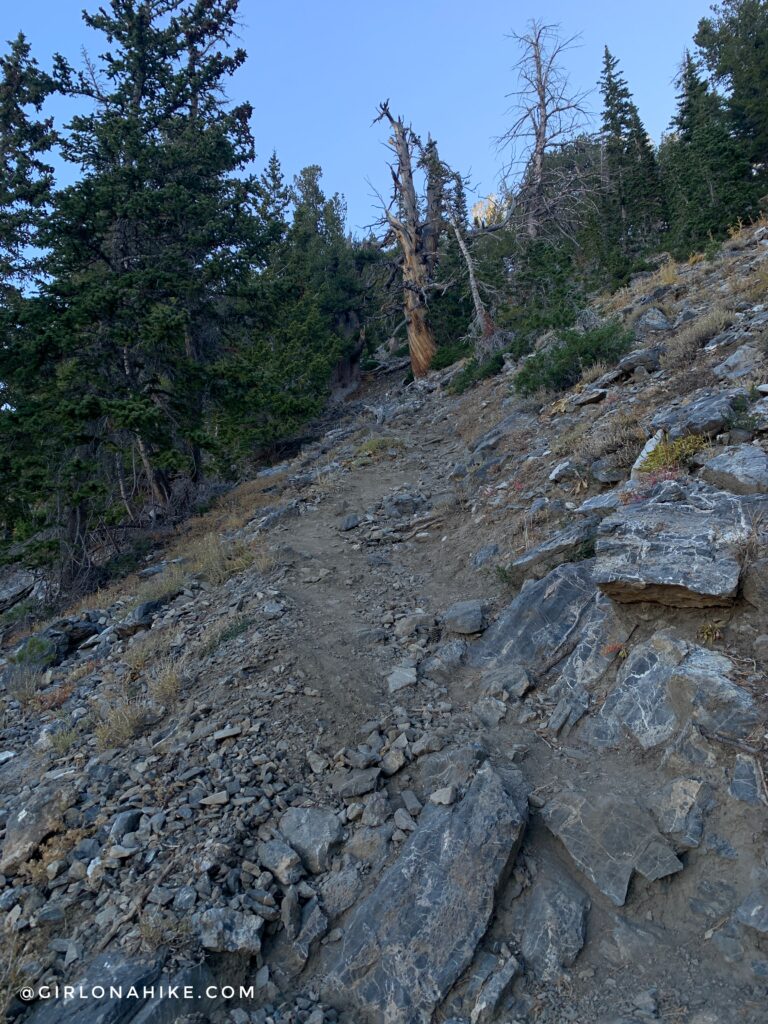 Hiking Kessler Peak, Big Cottonwood Canyon