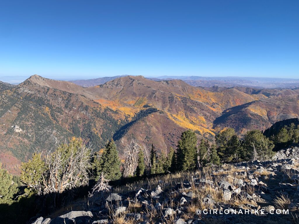 Hiking Kessler Peak, Big Cottonwood Canyon