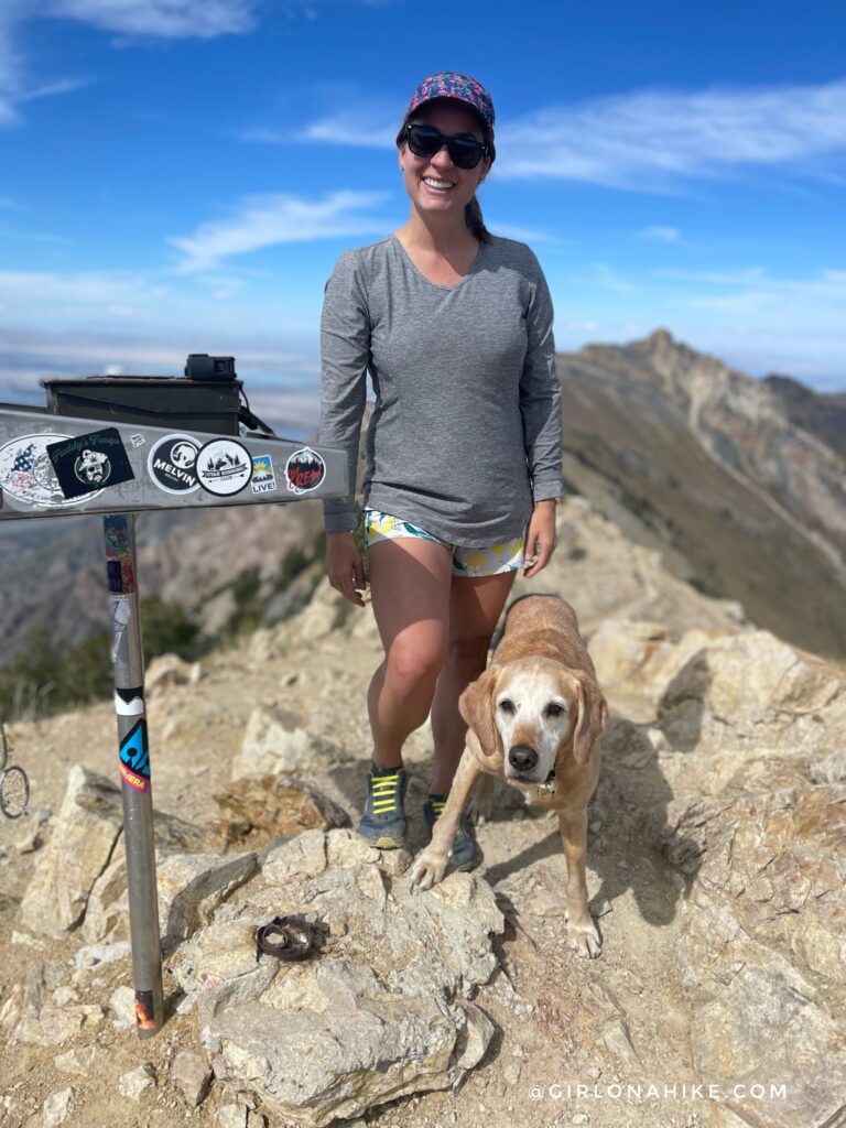 Hiking to Willard Peak & Ben Lomond Peak via Willard Basin