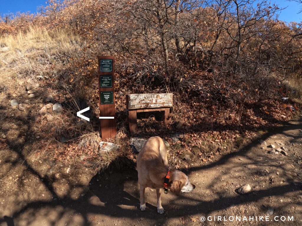 Hiking Malan's Peak