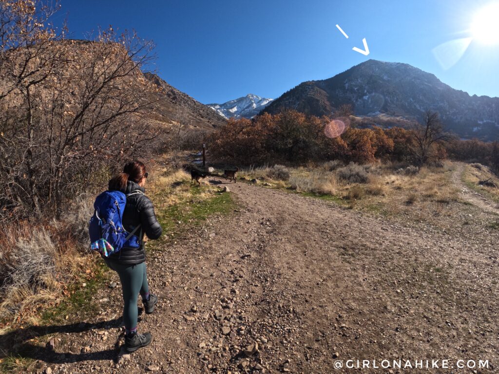 Hiking Malan's Peak