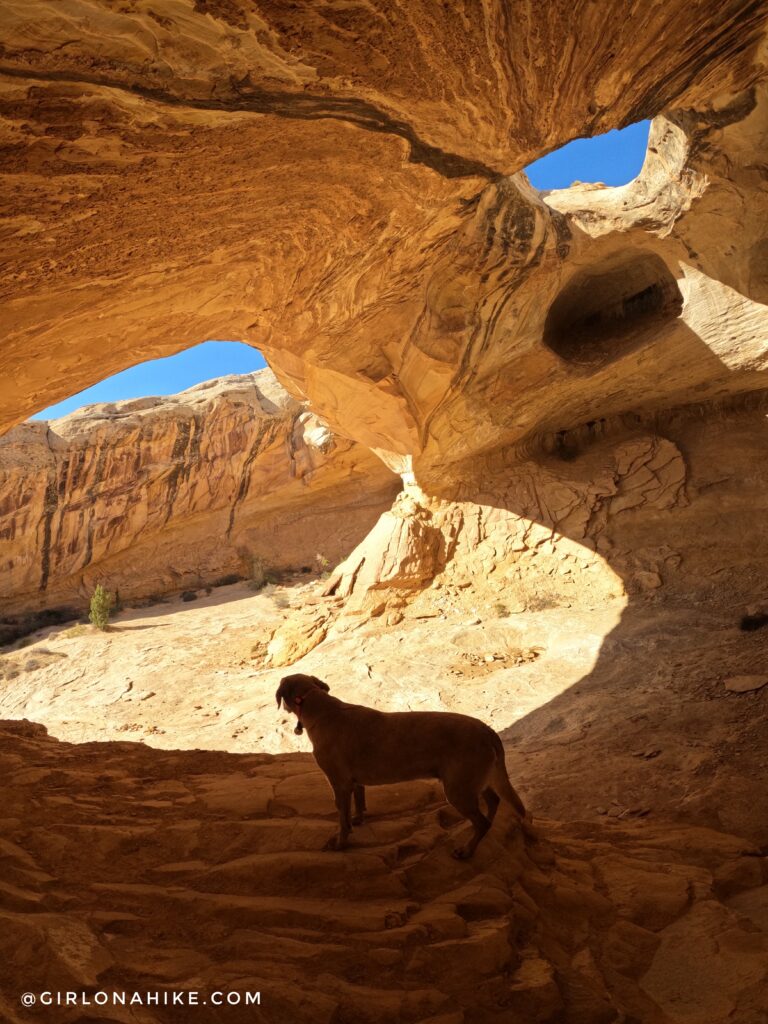 Hiking to Wild Horse Window Arch