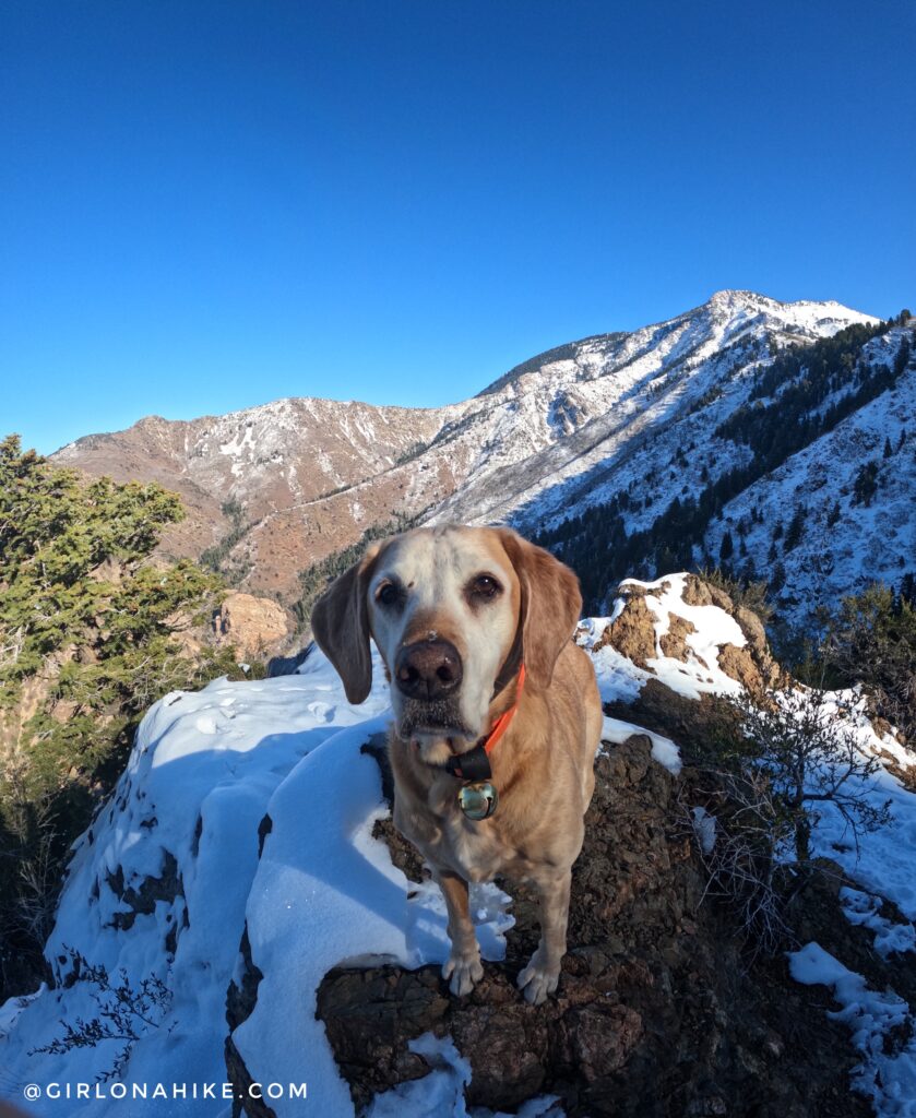 Hiking Malan's Peak