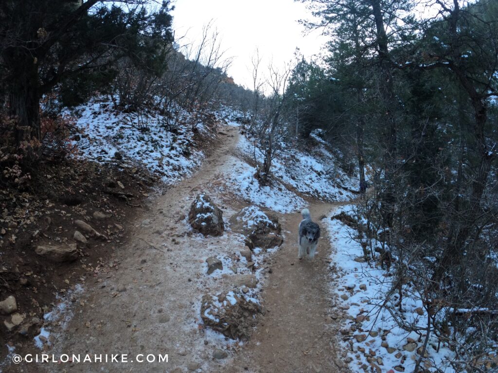 Hiking to Diamond Fork Hot Springs in Winter