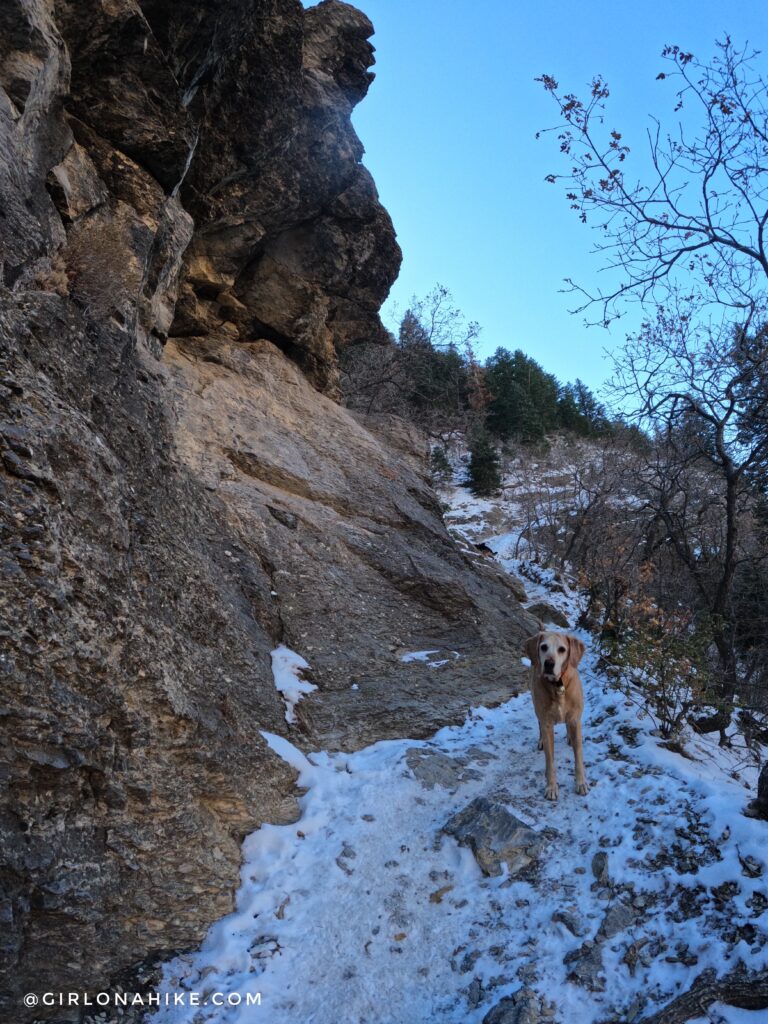 Hiking Malan's Peak