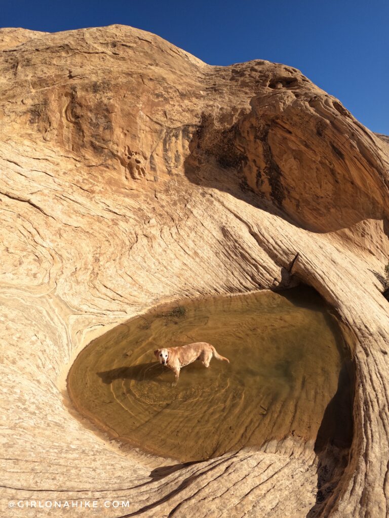 Hiking to Wild Horse Window Arch