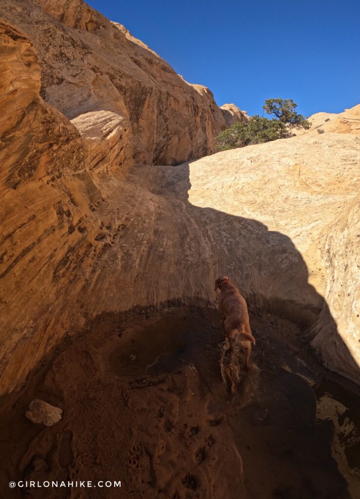 Hiking to Wild Horse Window Arch