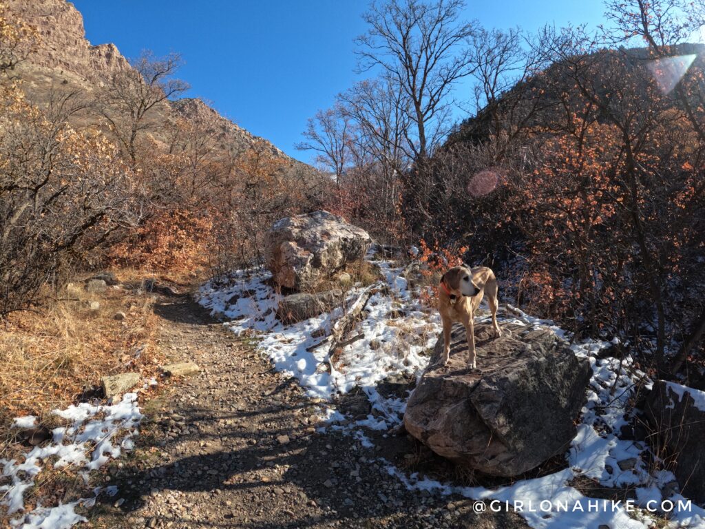 Hiking Malan's Peak