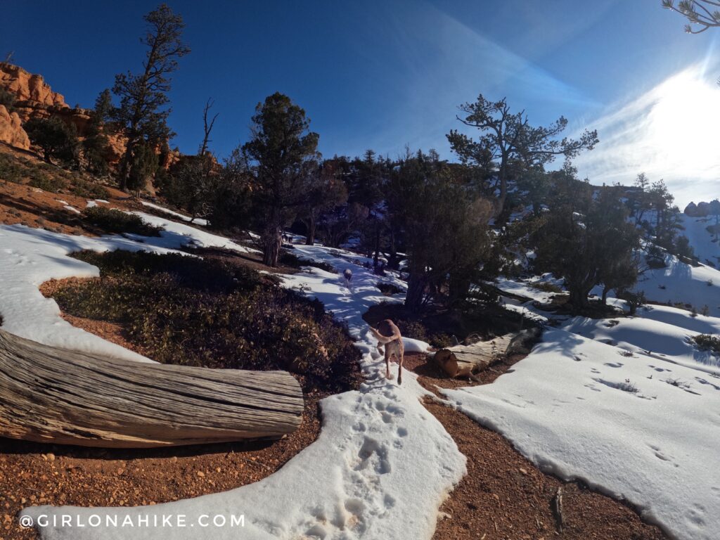 Hiking the Arches Trail, Losee Canyon