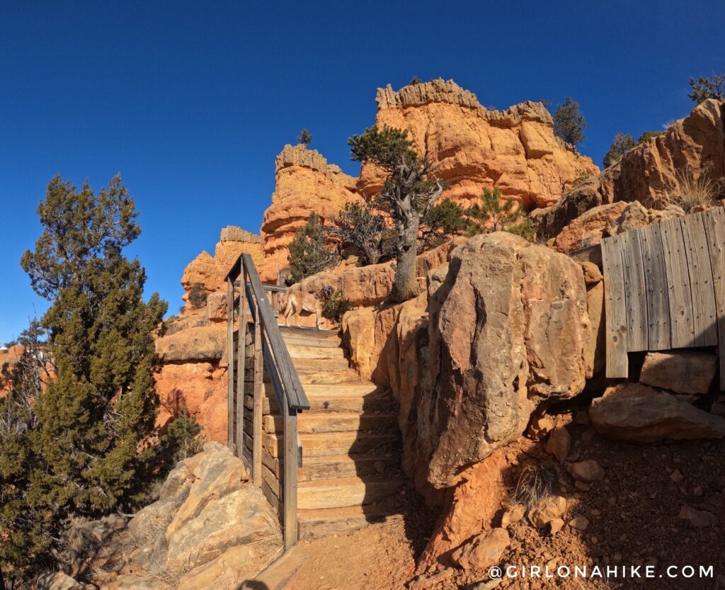 Hiking the Arches Trail, Losee Canyon
