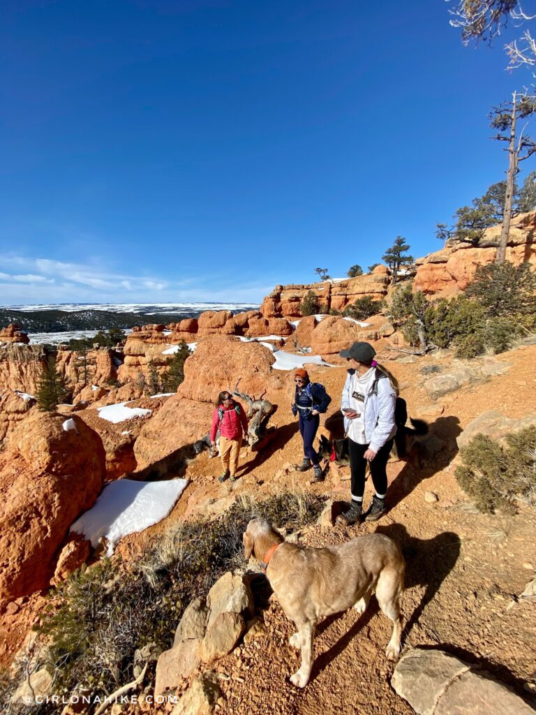 Hiking the Arches Trail, Losee Canyon