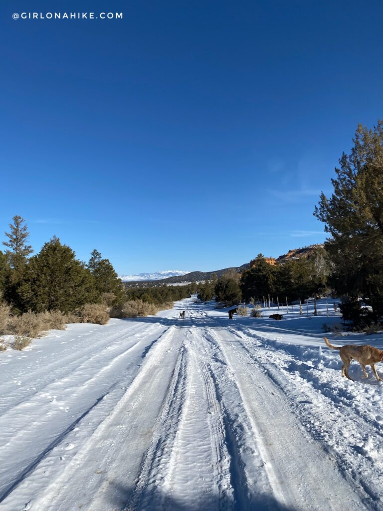 Hiking the Arches Trail, Losee Canyon