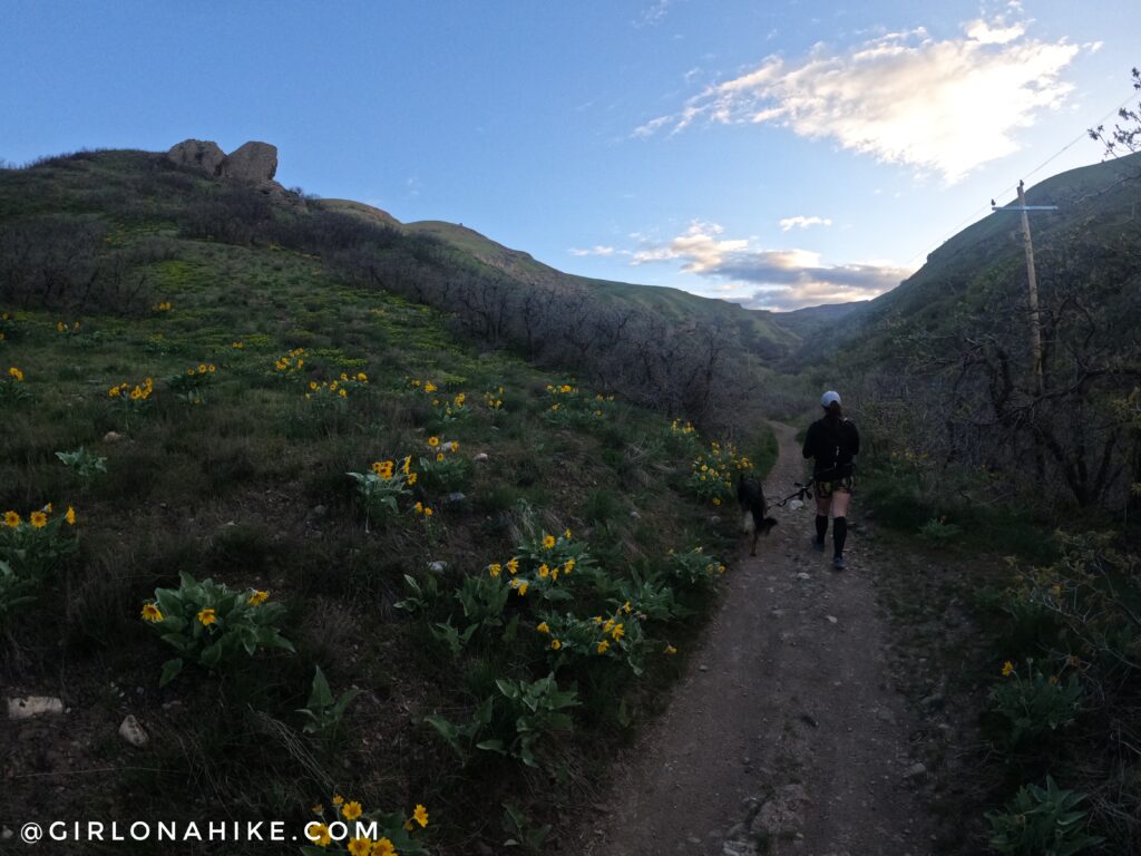 Hiking to the Window of the Wasatch