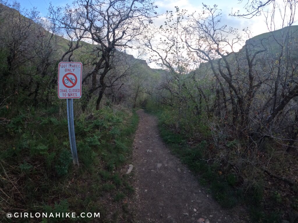 Hiking to the Window of the Wasatch