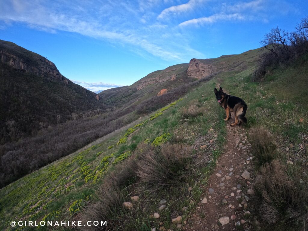 Hiking to the Window of the Wasatch