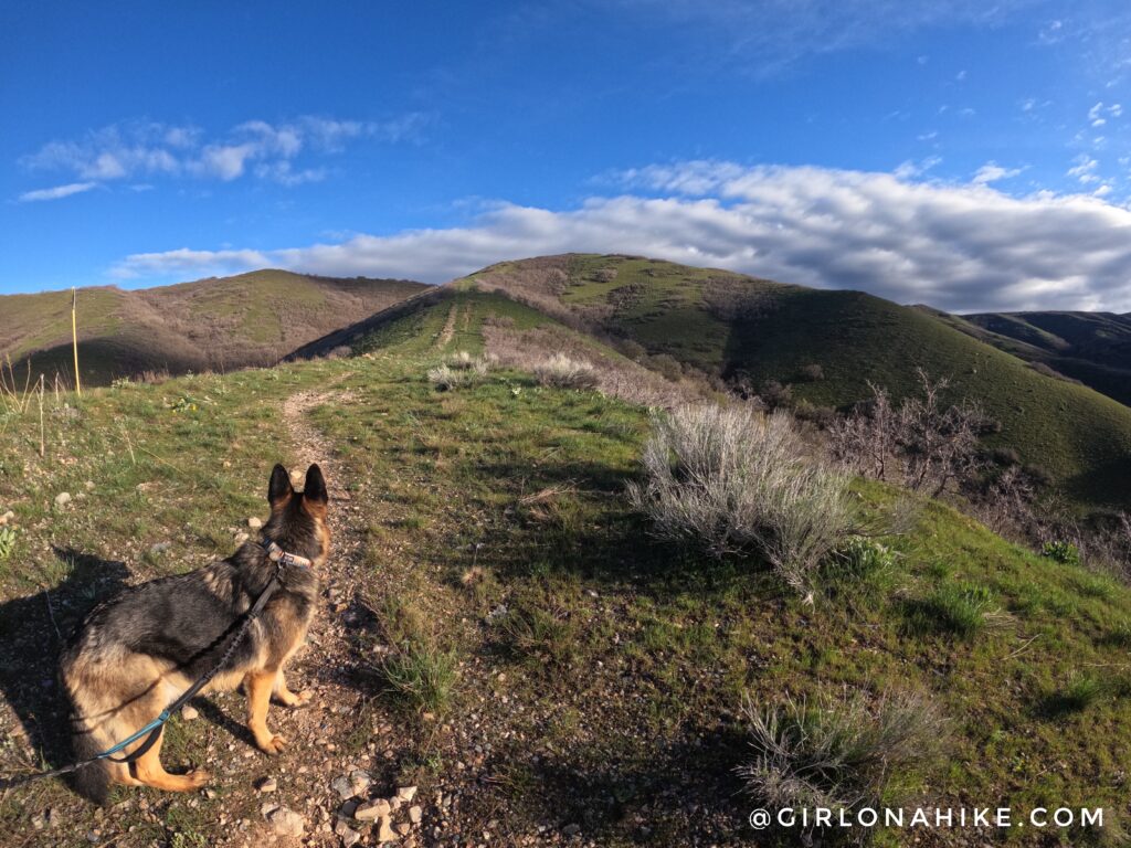 Hiking to the Window of the Wasatch