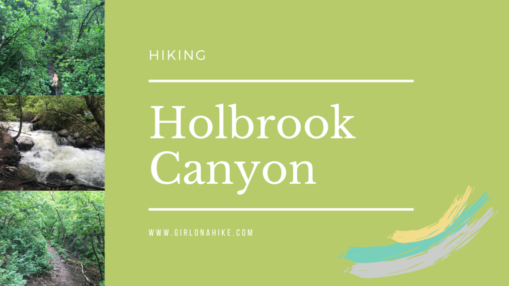 Hiking Holbrook Canyon