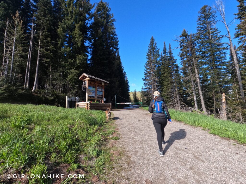 Hiking to Mt.Elly, Teton Pass