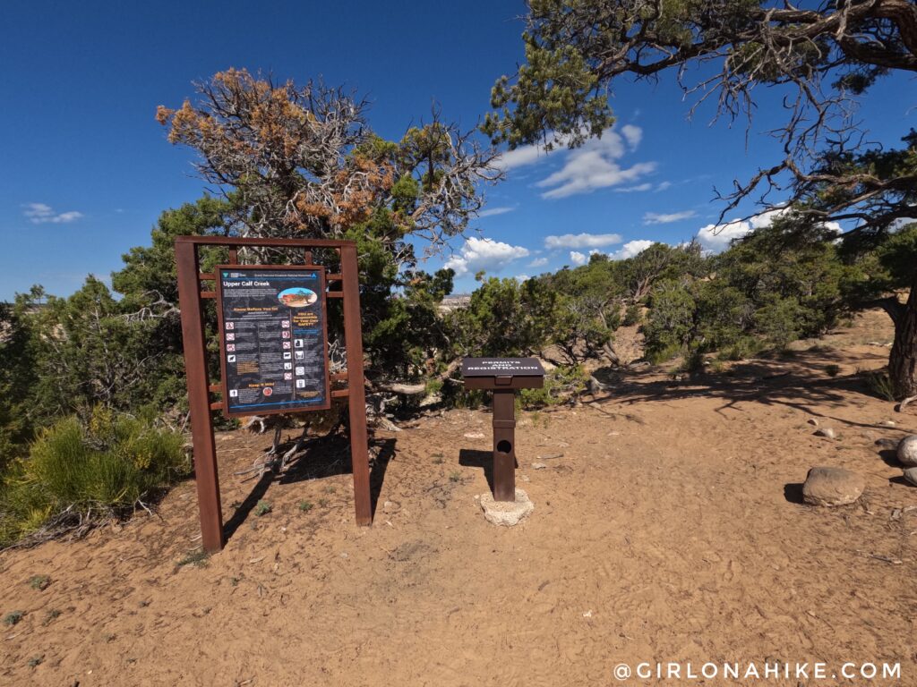 Hiking to Upper Calf Creek Falls