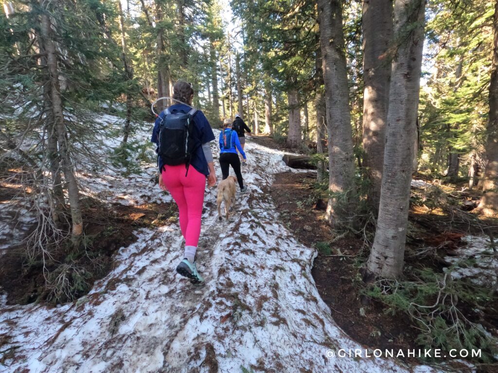 Hiking to Mt.Elly, Teton Pass