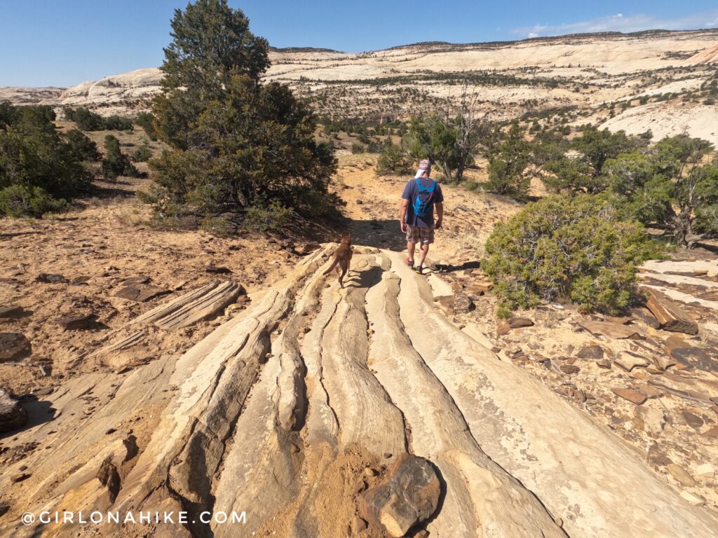 Hiking to Upper Calf Creek Falls