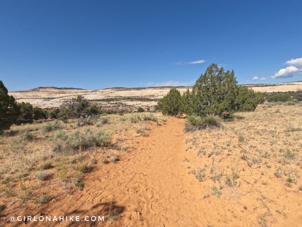 Hiking to Upper Calf Creek Falls