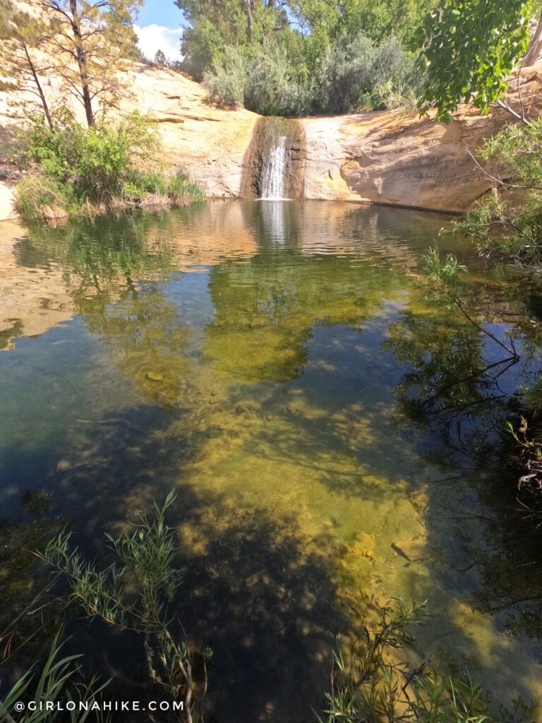 Hiking to Upper Calf Creek Falls