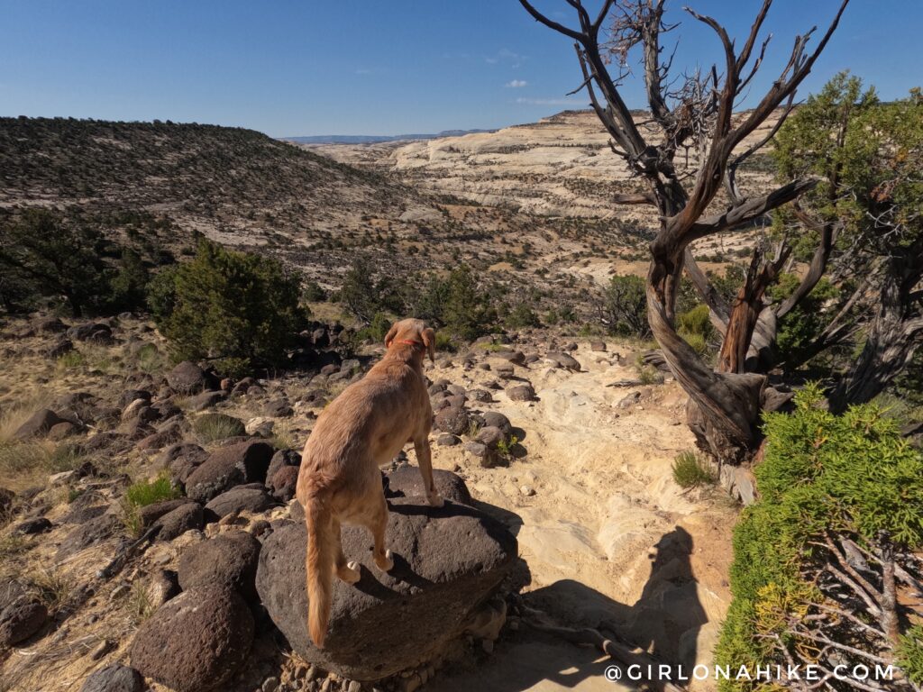 Hiking to Upper Calf Creek Falls