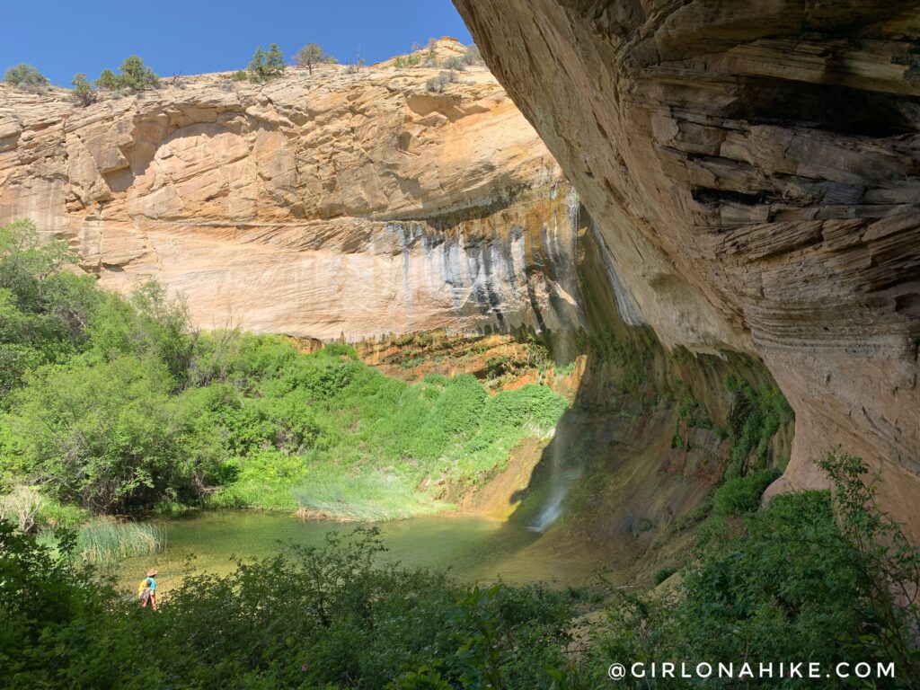 Hiking to Upper Calf Creek Falls