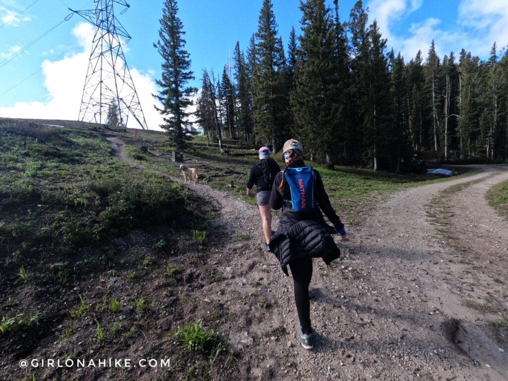 Hiking to Mt.Elly, Teton Pass