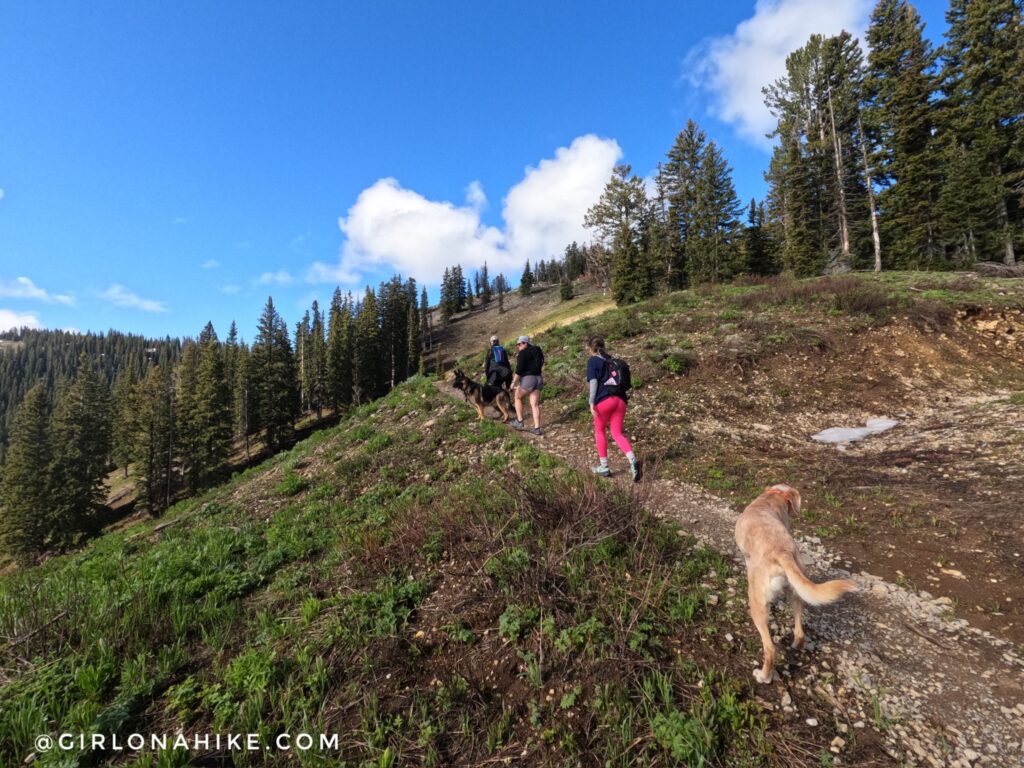 Hiking to Mt.Elly, Teton Pass