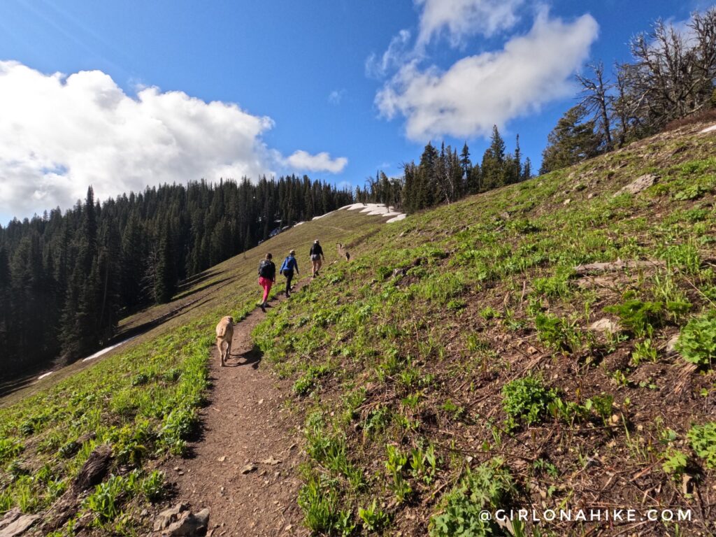 Hiking to Mt.Elly, Teton Pass