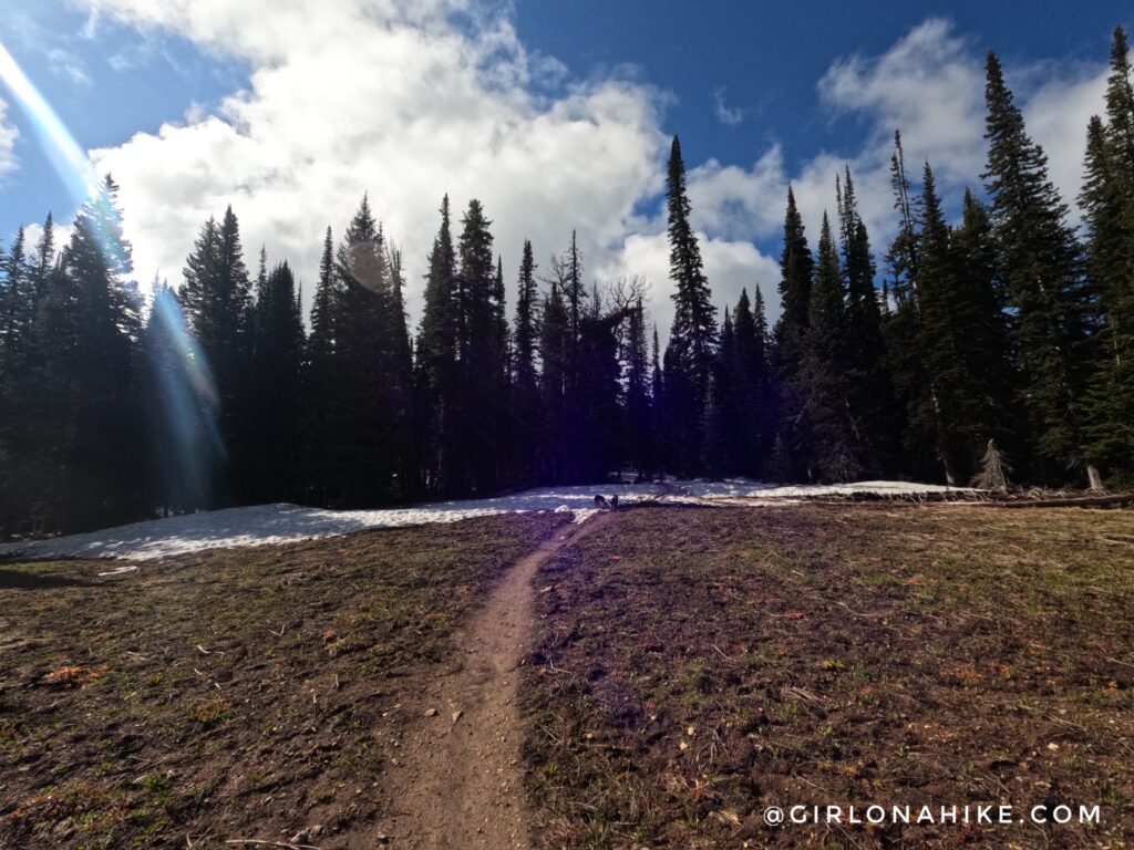 Hiking to Mt.Elly, Teton Pass