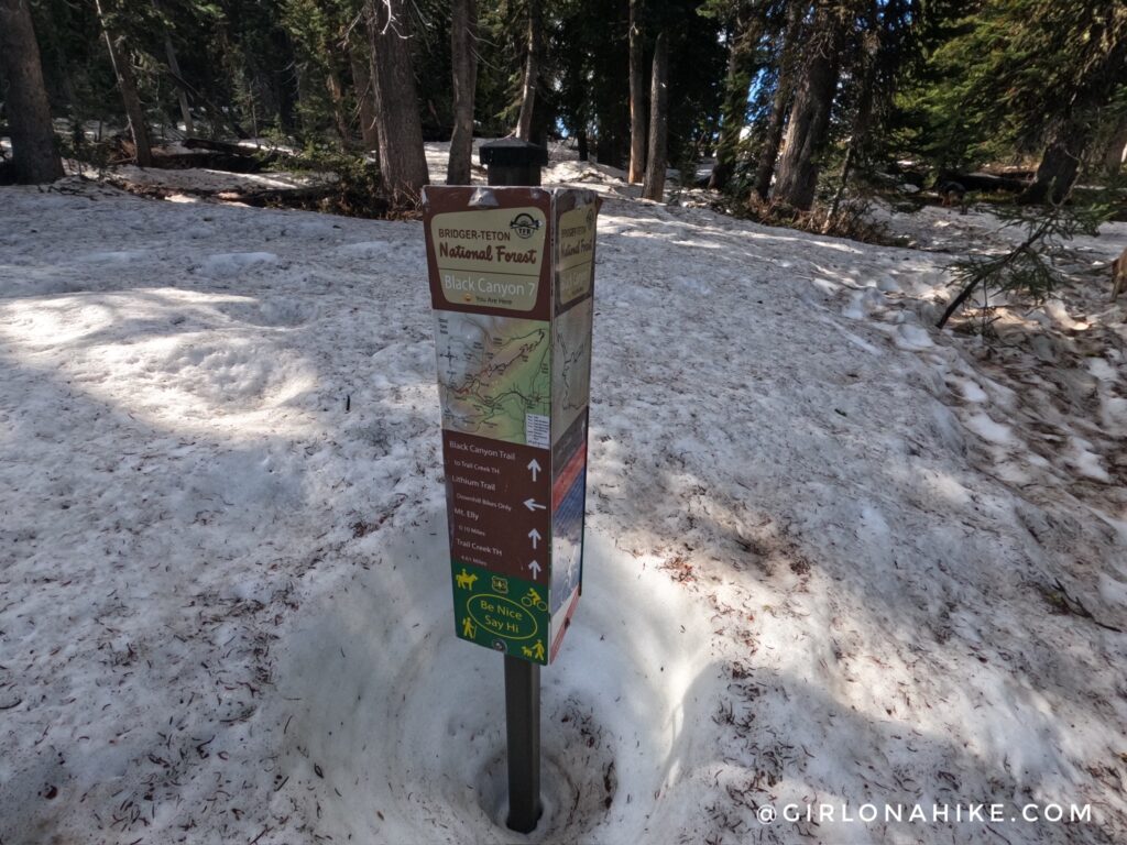 Hiking to Mt.Elly, Teton Pass